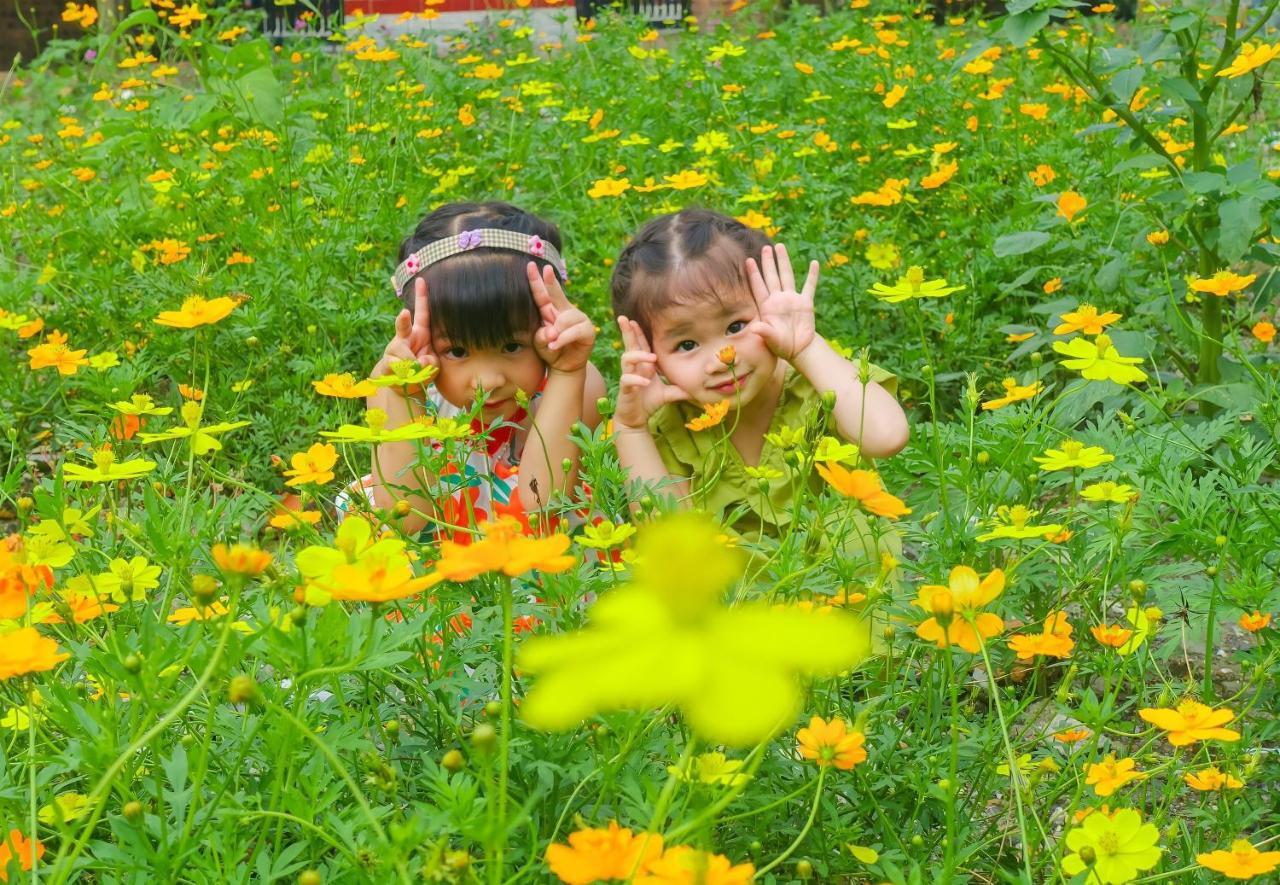 Ninh Binh Mountain Side Homestay & Cafe Exteriér fotografie