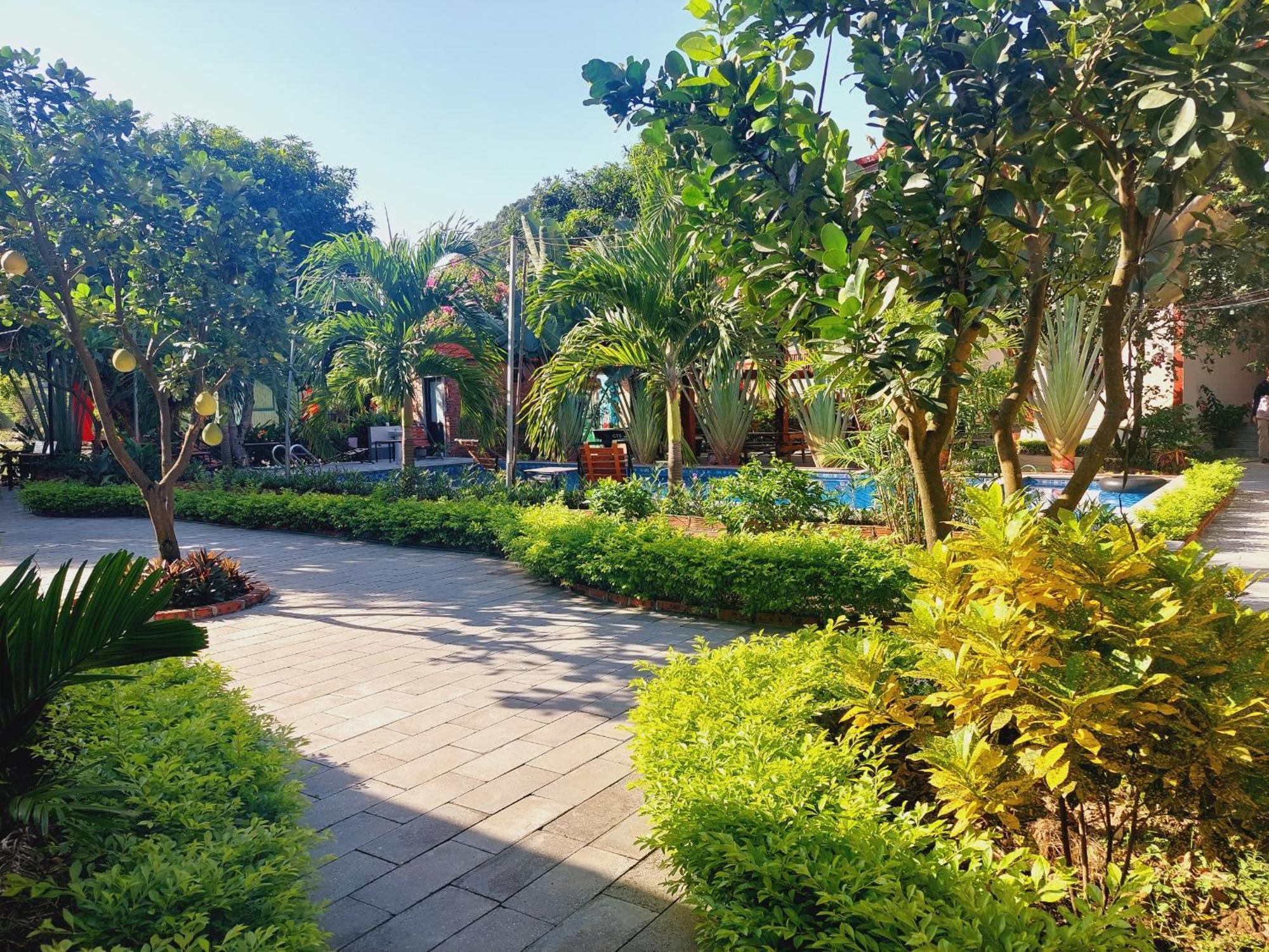 Ninh Binh Mountain Side Homestay & Cafe Exteriér fotografie
